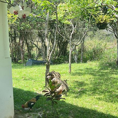Morada Fenix Bed & Breakfast Guarda do Embau Luaran gambar